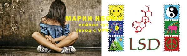 крисы Каменка