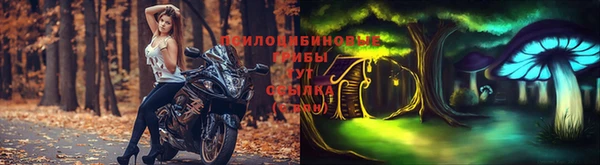 крисы Каменка