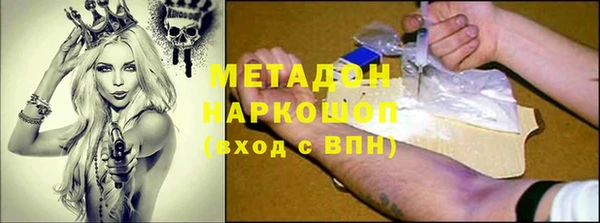 крисы Каменка