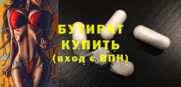 крисы Каменка