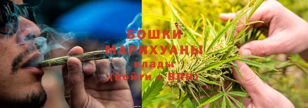 крисы Каменка