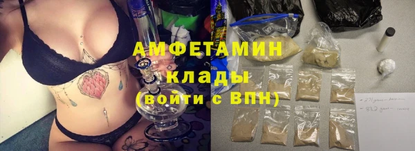 крисы Каменка