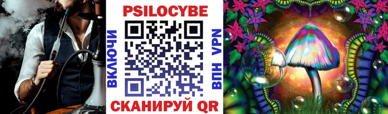 Купить  Георгиевск  Псилоцибиновые грибы Magic Shrooms 